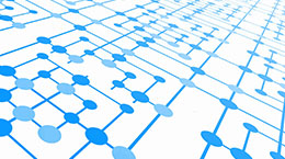 ���ָ�ylg888888(�й�)���޹�˾