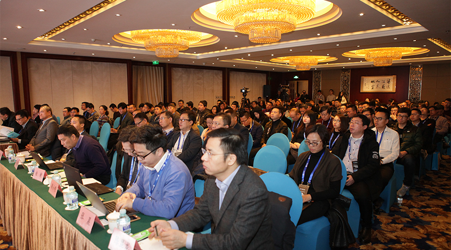 ���ָ�ylg888888(�й�)���޹�˾