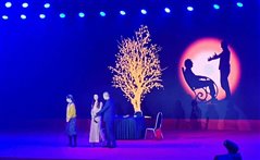 ���ָ�ylg888888(�й�)���޹�˾